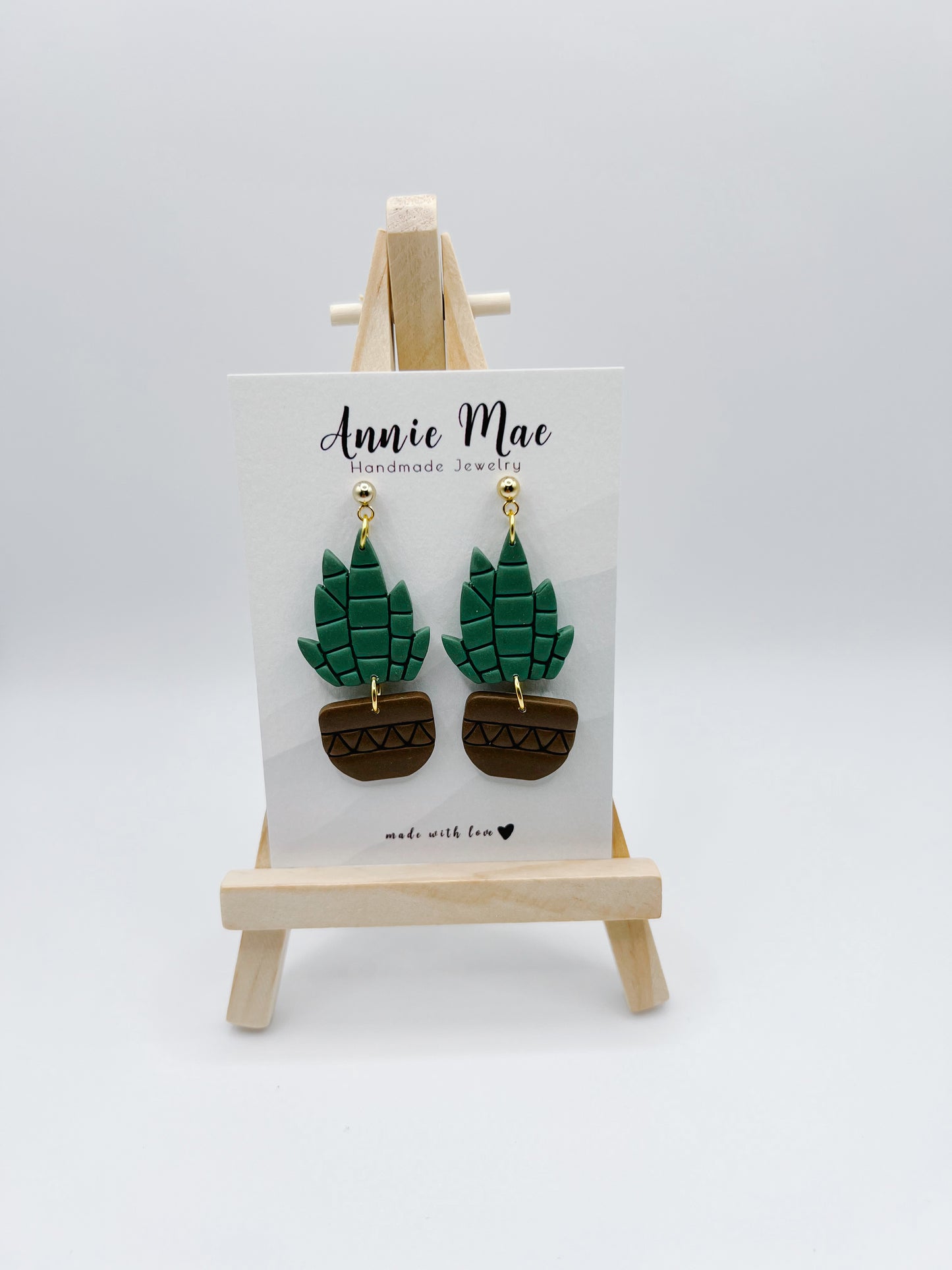 Snake Plant - PRE ORDER